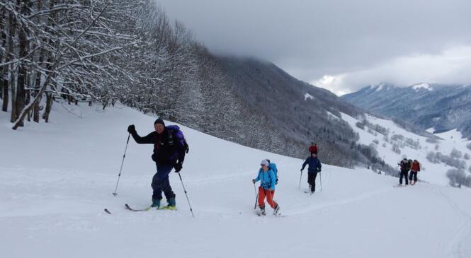 Le Morbié image article