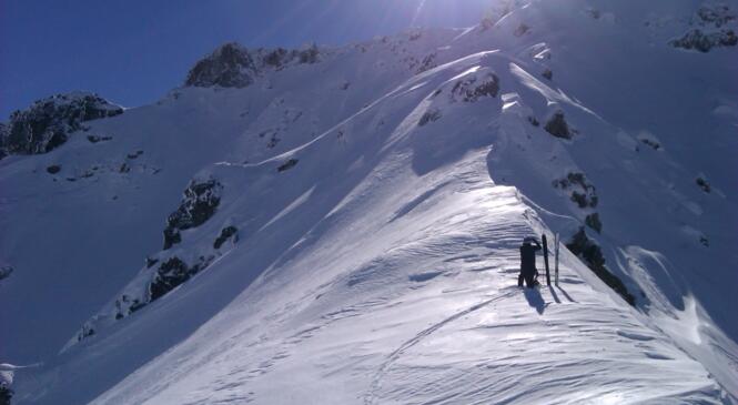 Une journée près de la belle étoile ! image article