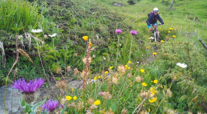 La saison vélo2montagne 2015 est lancée ! ! ! image article