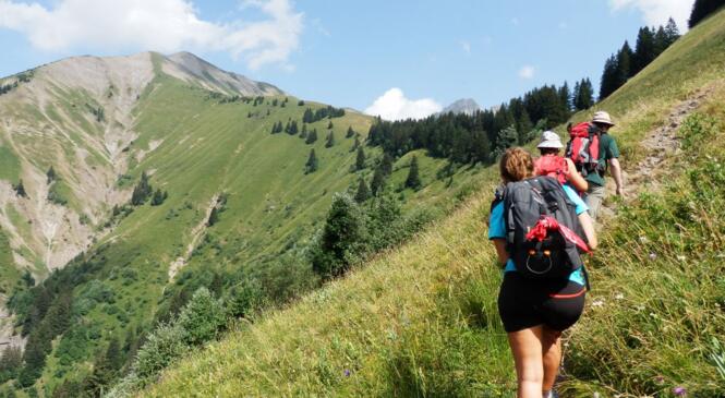 Revirement dans les Bauges... image article