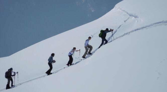 image article