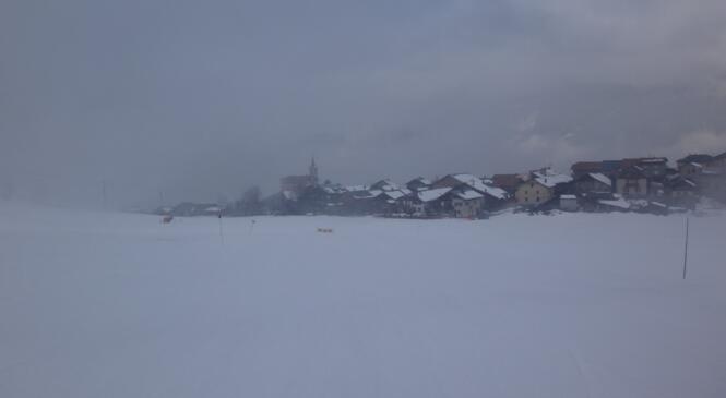 Un plein de soleil image article