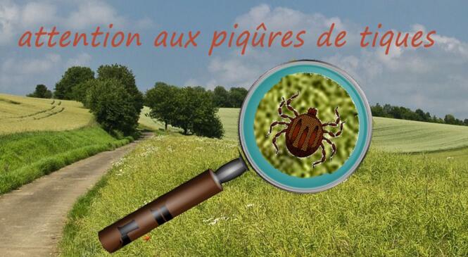 image article