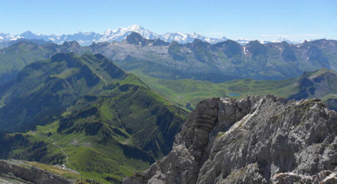 image article