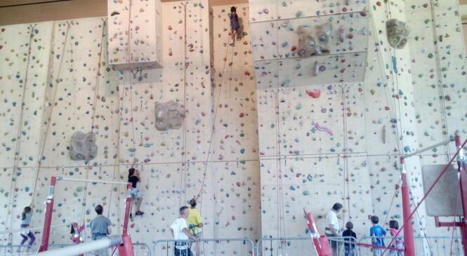 ECOLE D'ESCALADE image article