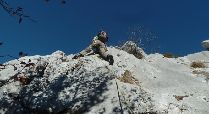 Info du PNR Chartreuse : des voies d’escalade vont être démontées image article