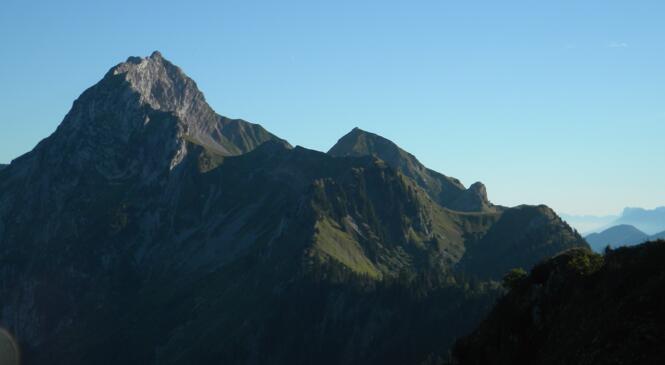 image article