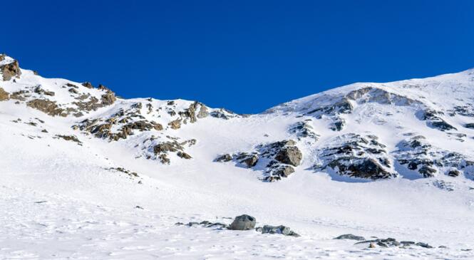 image article