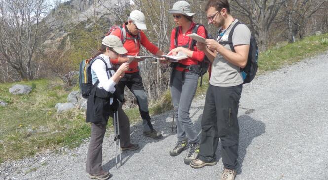 Stage Carto 2 à Beaune image article
