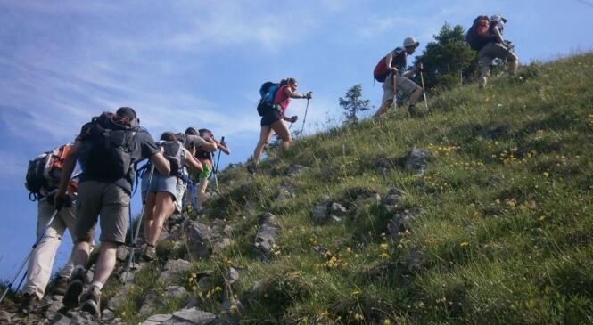 CAF en Bauges arrive............ image article