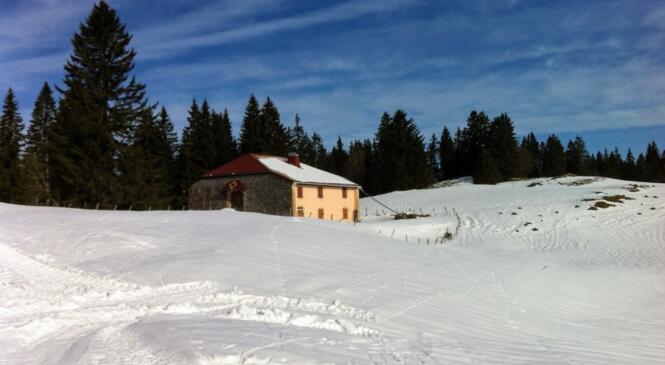 Aux skis citoyens ! image article