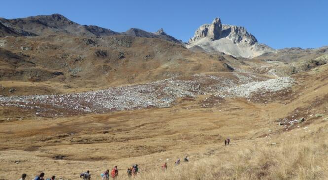 Rentrée des Zwhenos : tous en rang…donnée !! image article