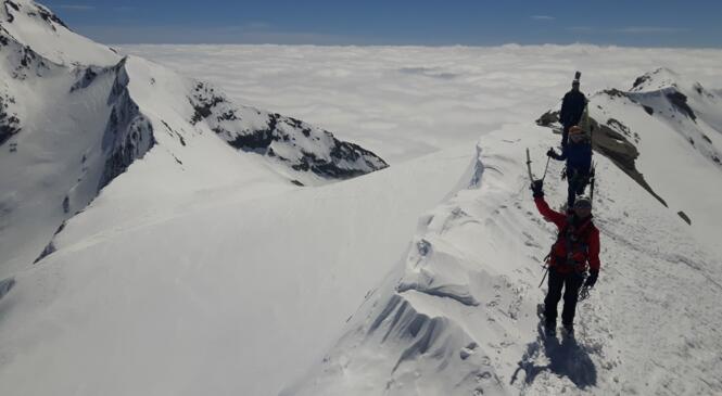 Le Cycle Perfectionnement en Ski-Alpi N°2 est publié ! image article