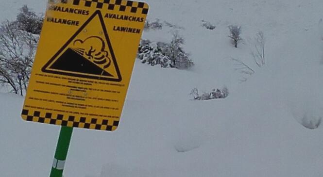 Organisation des secours en avalanche image article