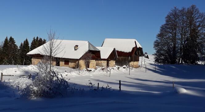 Infos ski de fond - Nouvelles initiation ESF et sorties week end image article