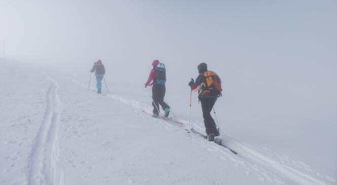 Cycle neige et avalanches niveau 2 en préparation à Chambéry image article