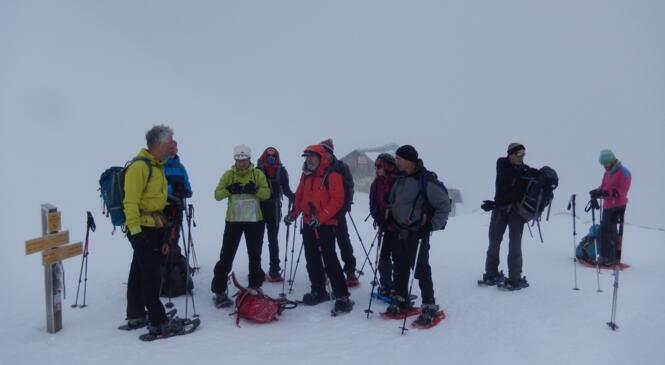 Entre neige et brouillard autour du Petit Som image article