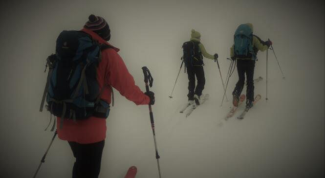 Quand le brouillard s'en mêle image article