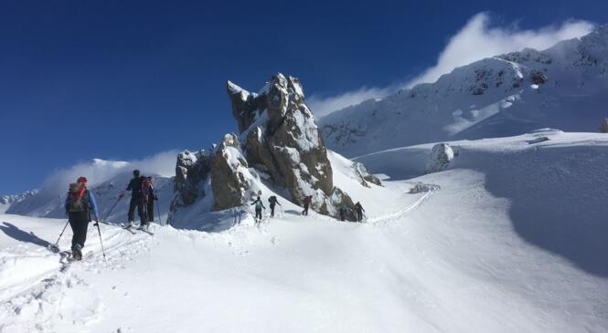 Une Roche pas connue !!! image article