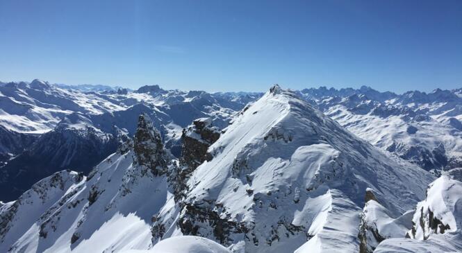 Un Brequin sinon rien ! image article