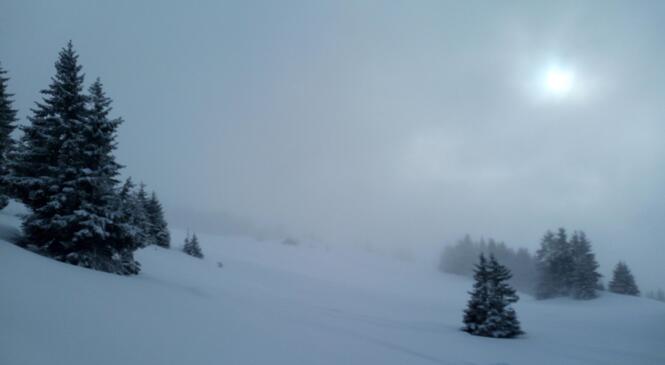 Le Grand Mas ? Motivé-e-s !! image article