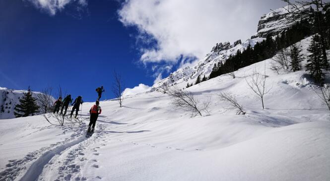 Les diablotins s'engouffrent dans la brèche  image article