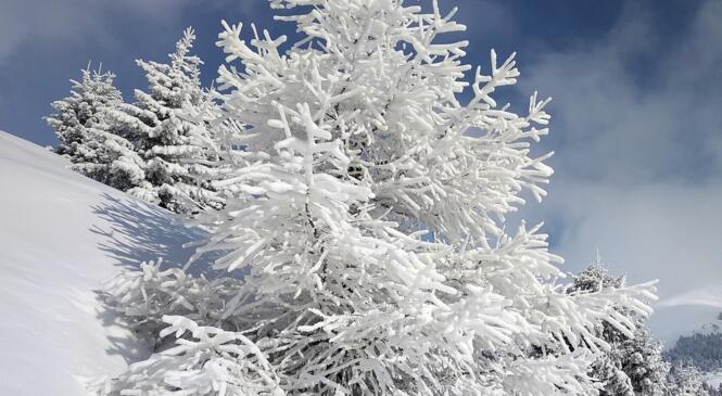 Action contre Grand Froid jusqu'au Mont Jovet image article