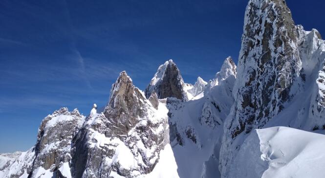 Une Flachère poudrée au top de sa beauté image article