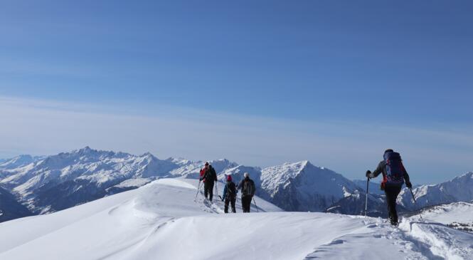 Raquettes, Neige et Soleil image article