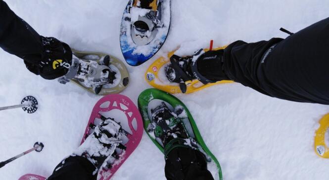 Les délices des Encombres image article