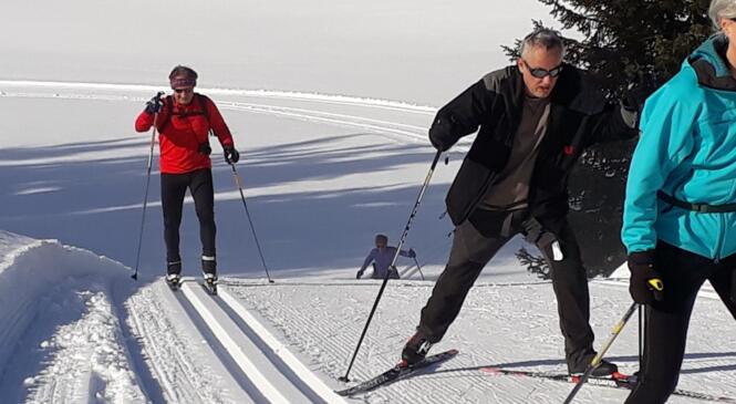 Actualités "Nordique" et présentation des séjours image article