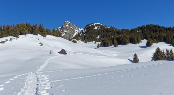 Ski de rando au Grand Mas - Lauzière image article