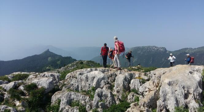 Trop beau... très chaud... !!! image article