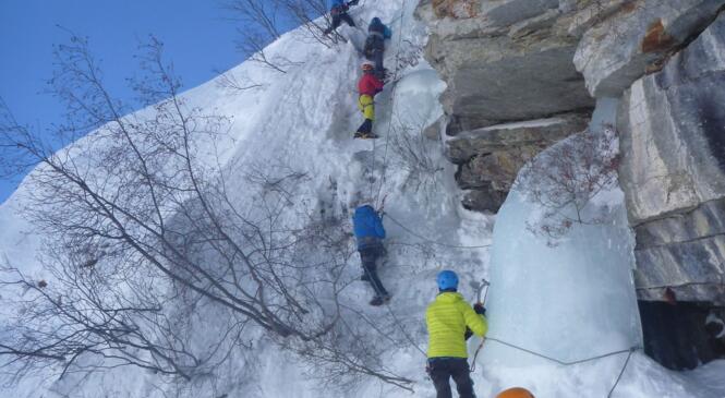 Ecole d'Aventure : Saison 2019-2020 image article