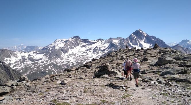 Et pourquoi pas le Rateau en plus ? image article