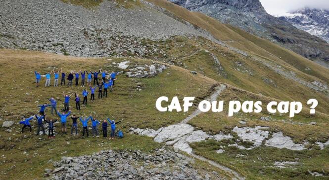 CAF ou pas cap ? La rentrée des Zwhénos image article