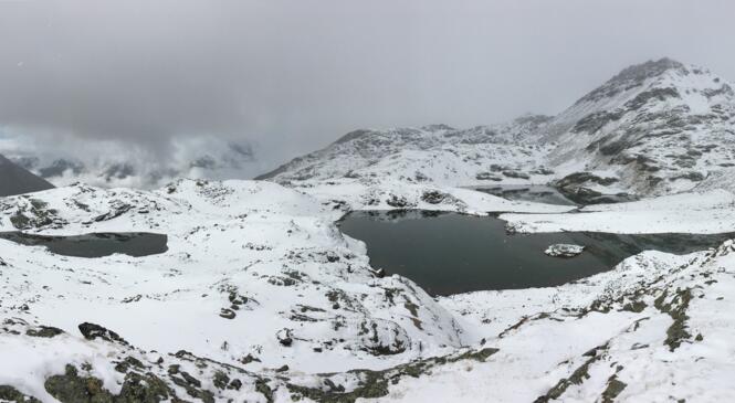 Trail hivernal dans le Vallon du Clou image article