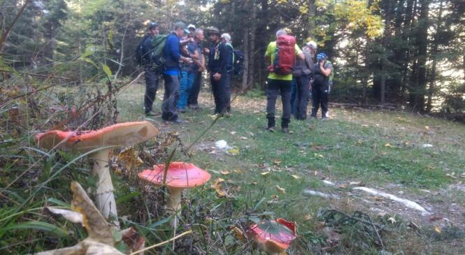 4 jours pour être initiateurs randonnée montagne image article