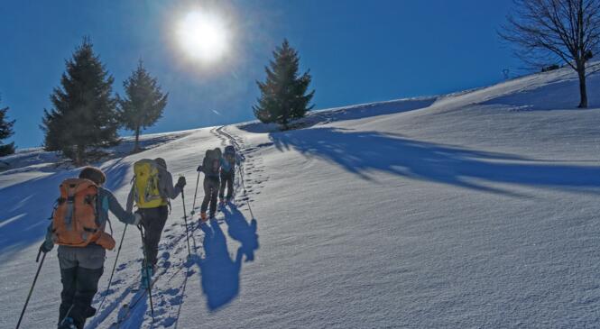 Bonne neige au Plan des Queux image article