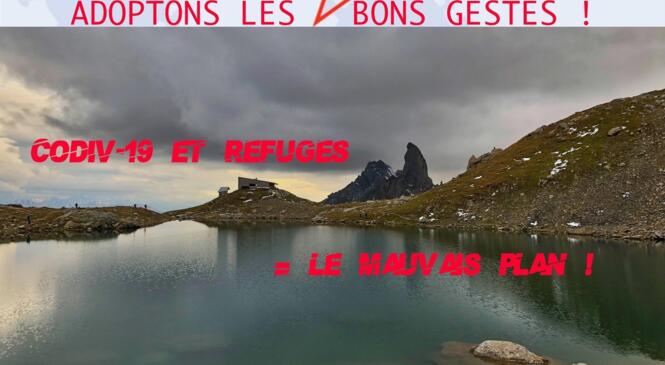 image article
