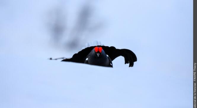 Non, t'es pas tout seul... image article