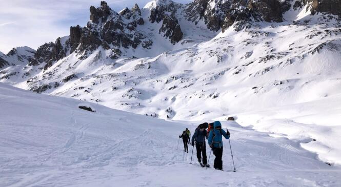 Préparer l'hiver : "Quel matériel choisir en ski de randonnée nordique ?" image article