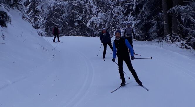 Bilan partiel des cycles Initiation skating image article