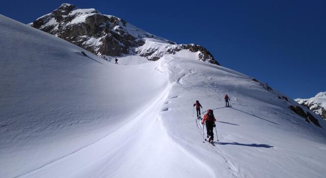 DECOUVERTE DU SKI DE RANDONNÉE  image article