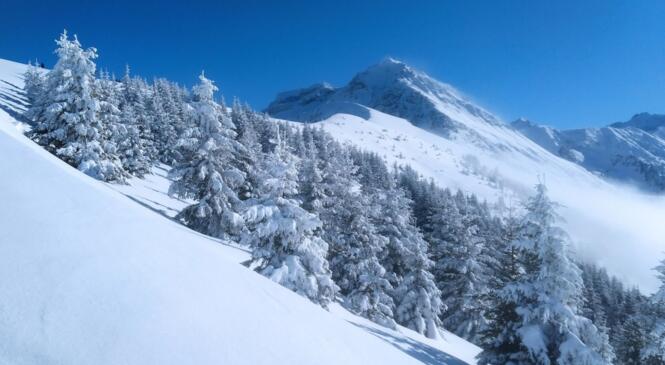 Les Grands Moulins en vedette ! image article