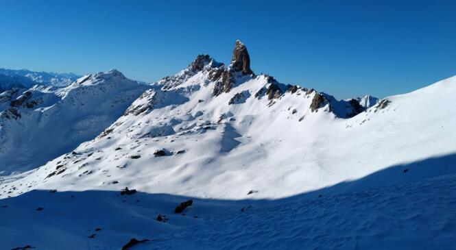 RETOUR AUX SOURCES image article