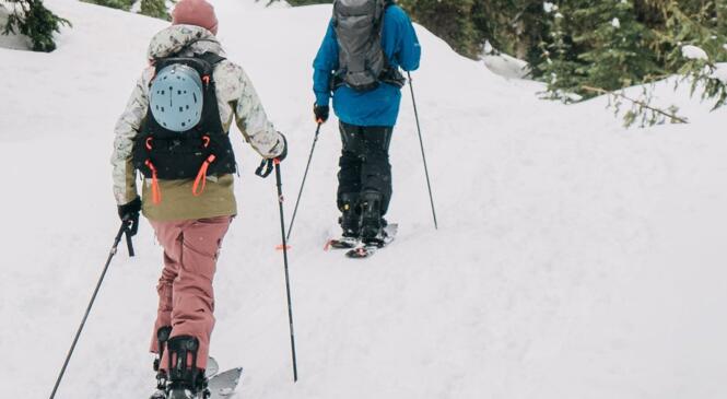 LE CAF D'ANNECY PROPOSE DU SNOWBOARD DE RANDONNÉE  image article