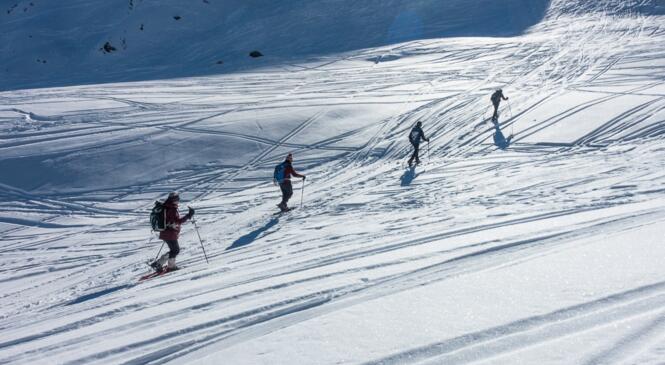 En Vanoise...emportés par notre élan ! image article