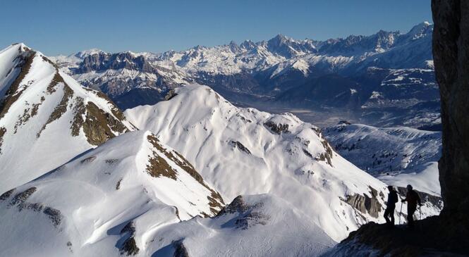 Des yeux plein les mirettes image article