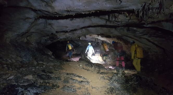 Promenade bucolique dans les galeries fossiles du Guiers Mort avec l'EDSC73. image article